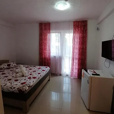 Casa Daria 招待所 科斯蒂内什蒂