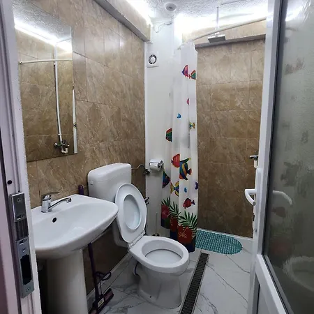 招待所 Casa Daria 科斯蒂内什蒂